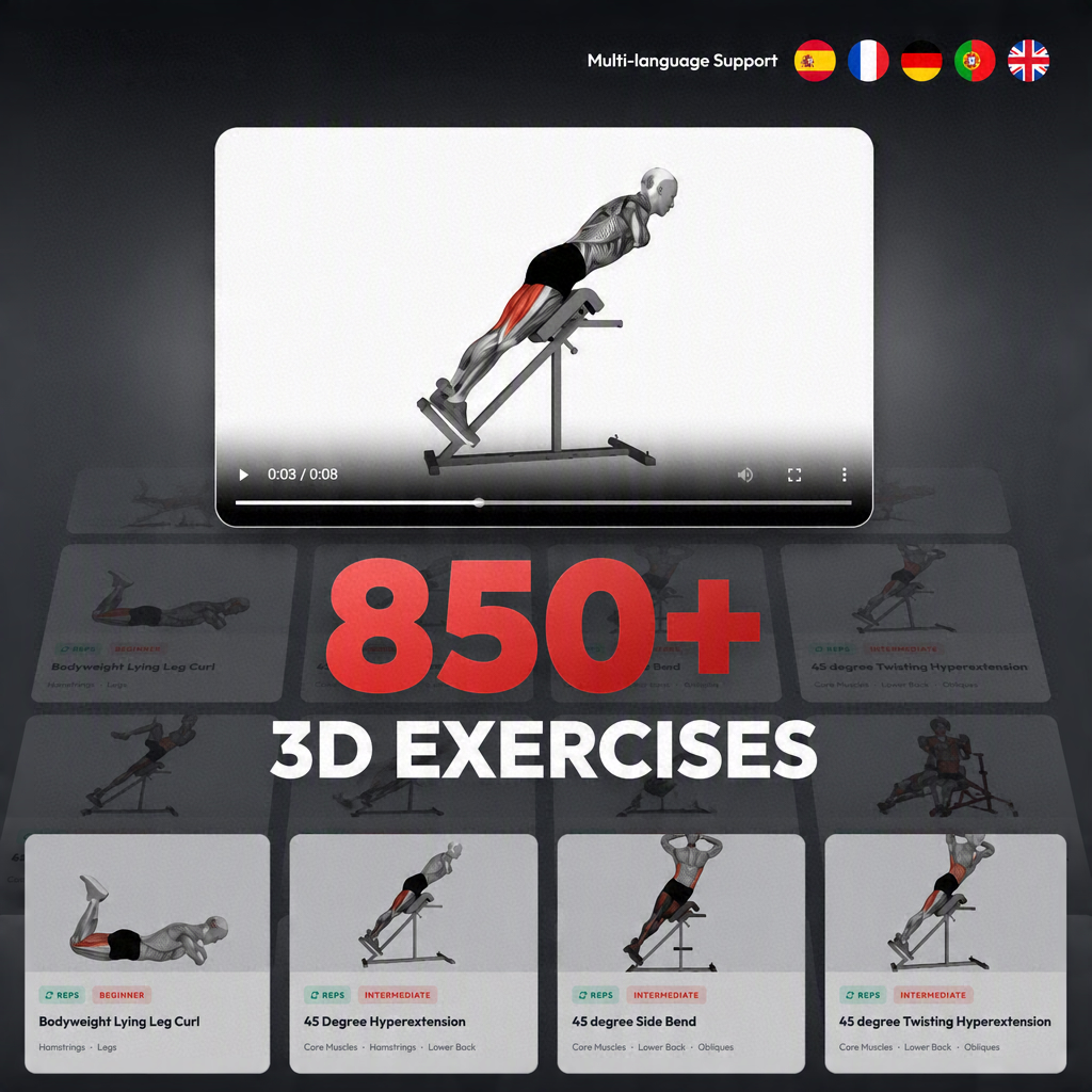 3D animations cataloged by muscle group